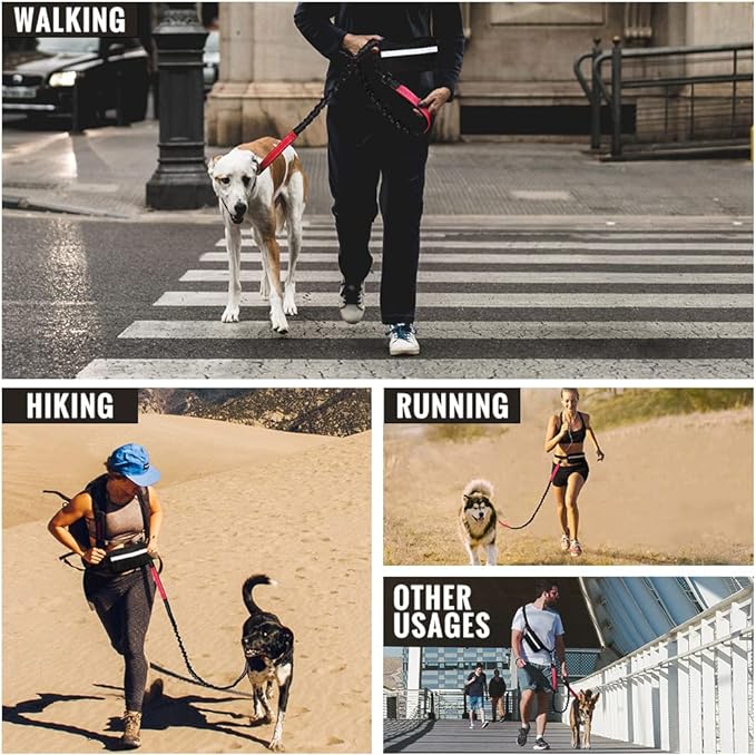 Bungee Dog Leash for Hands-Free Use – Reflective Waist Strap for Running, Hiking, and Walking