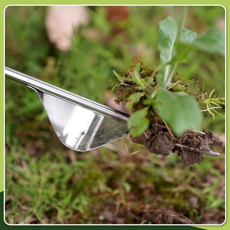 Ergonomic Stainless Steel Tool for Weed Removal – No Bending Required