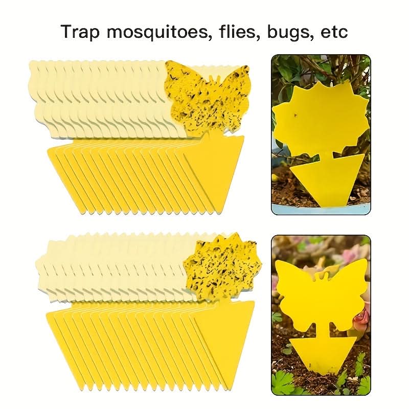 Yellow Plant Traps for Flying Insects and Fungus Gnats