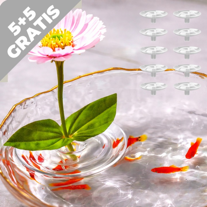 Clear Floral Floatation Support – Ideal Stem Display