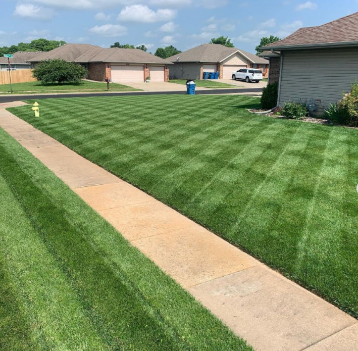 Natural Lawn Renewal Spray with Grass Seed Formula