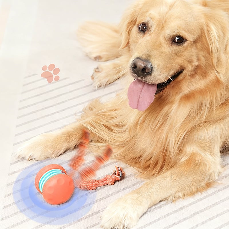 Motion-Activated Dog Toy with Dual Speed Settings
