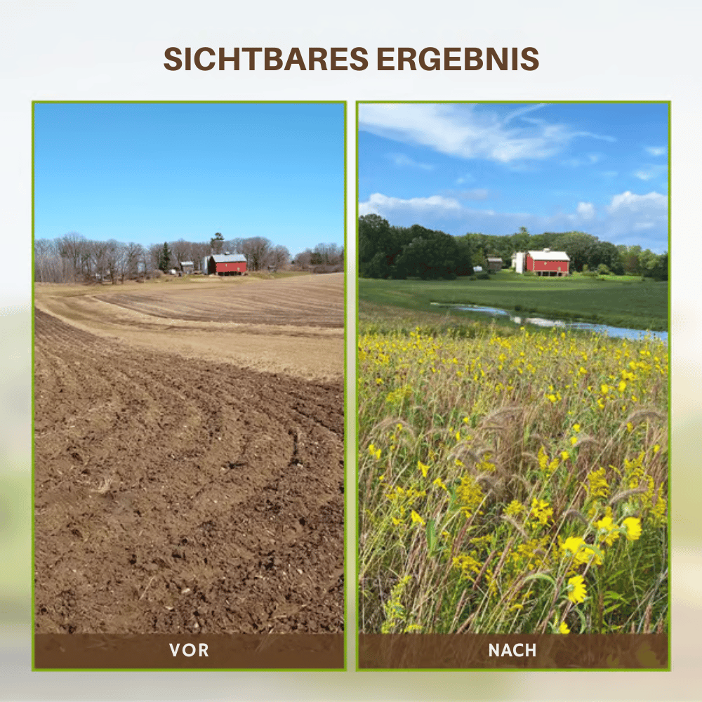 Powdered Soil Enhancer for Thriving Plants