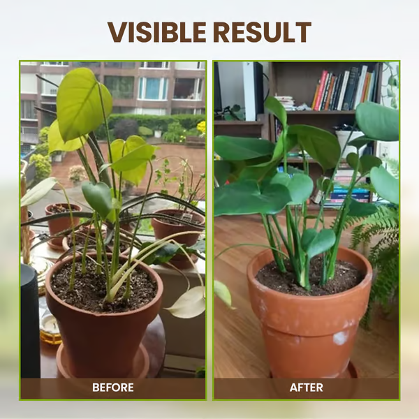 Powdered Soil Enhancer for Thriving Plants