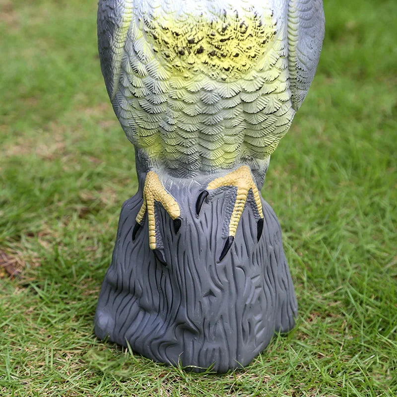 Realistic Bird of Prey Decoy for Deterring Birds