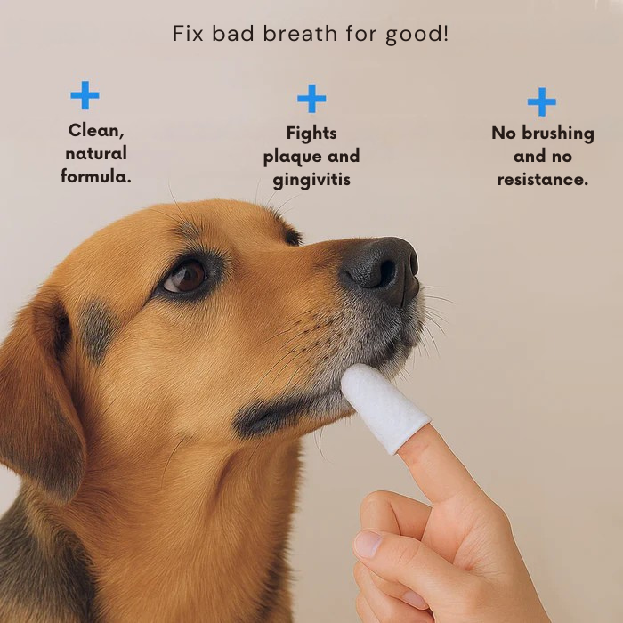 RamoraPaws™ — Instantly Fresh Breath and Happier Pets Without the Struggle