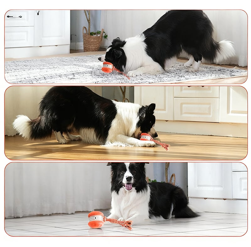 Motion-Activated Dog Toy with Dual Speed Settings
