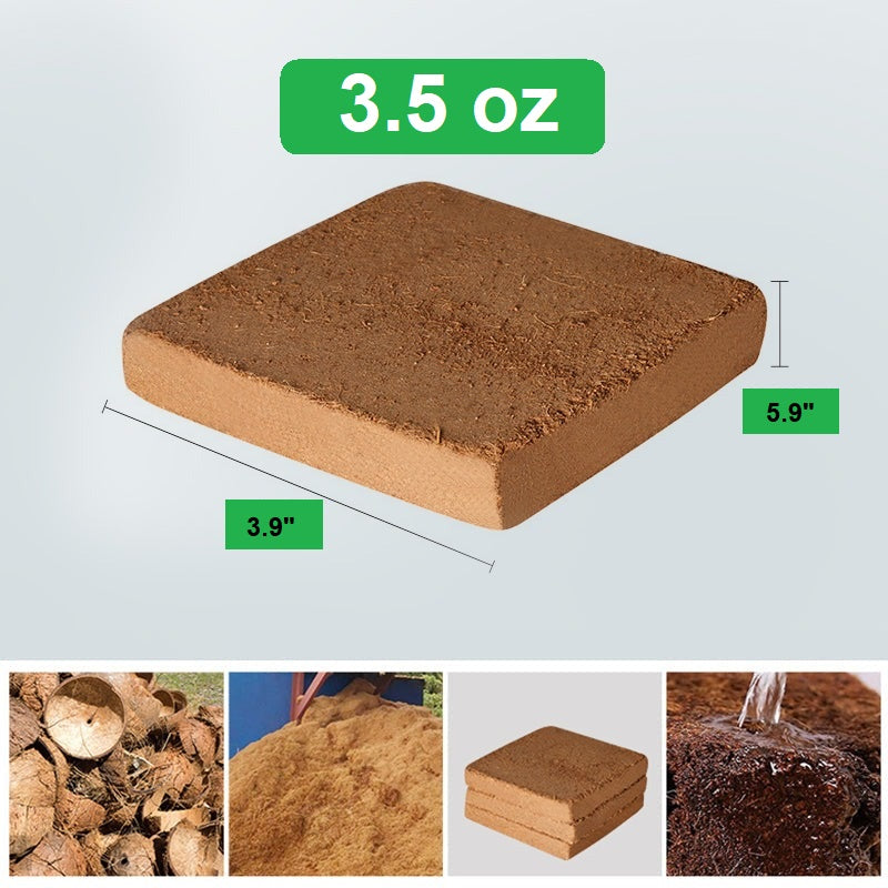 EverGrow Thrive™ — Ignite Explosive Growth with Lush, Breathable Soil That Nourishes Every Root