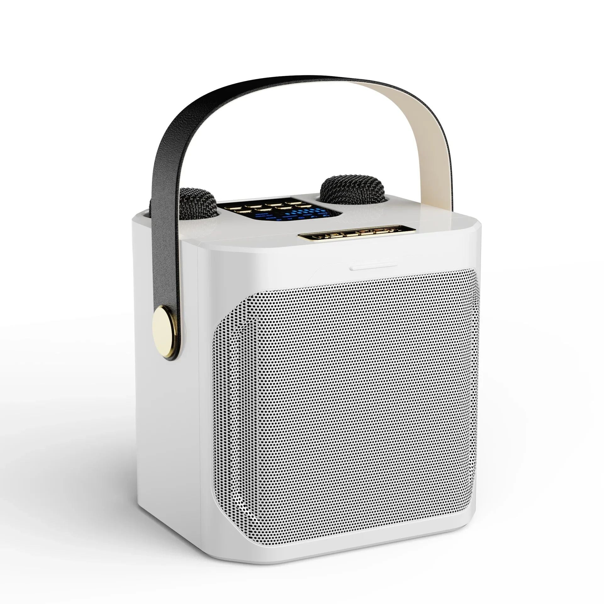 Ultimate Wireless Karaoke Speaker with Dual Mics & Surround Sound