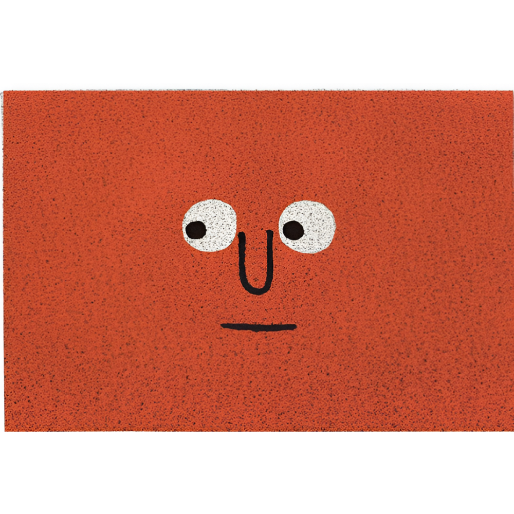 Doormat | Firm Grip with Slip Resistance | Traps Dirt and Moisture | Entrivo