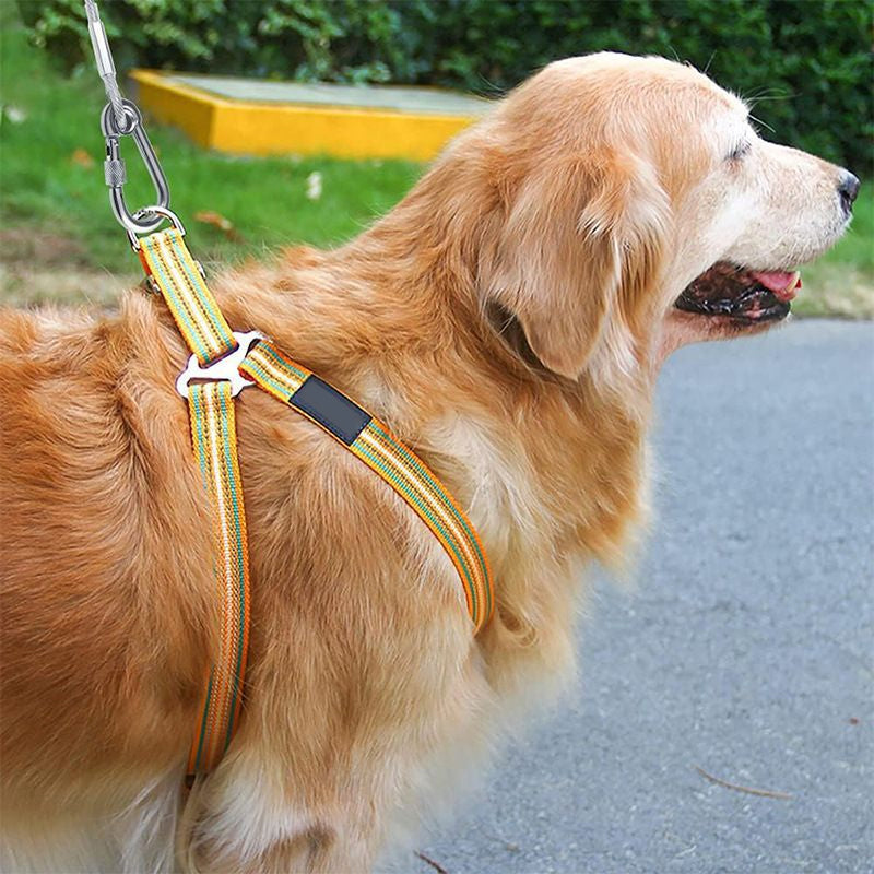 Durable Chew-Proof Dog Leash – Outdoor Safety Leash