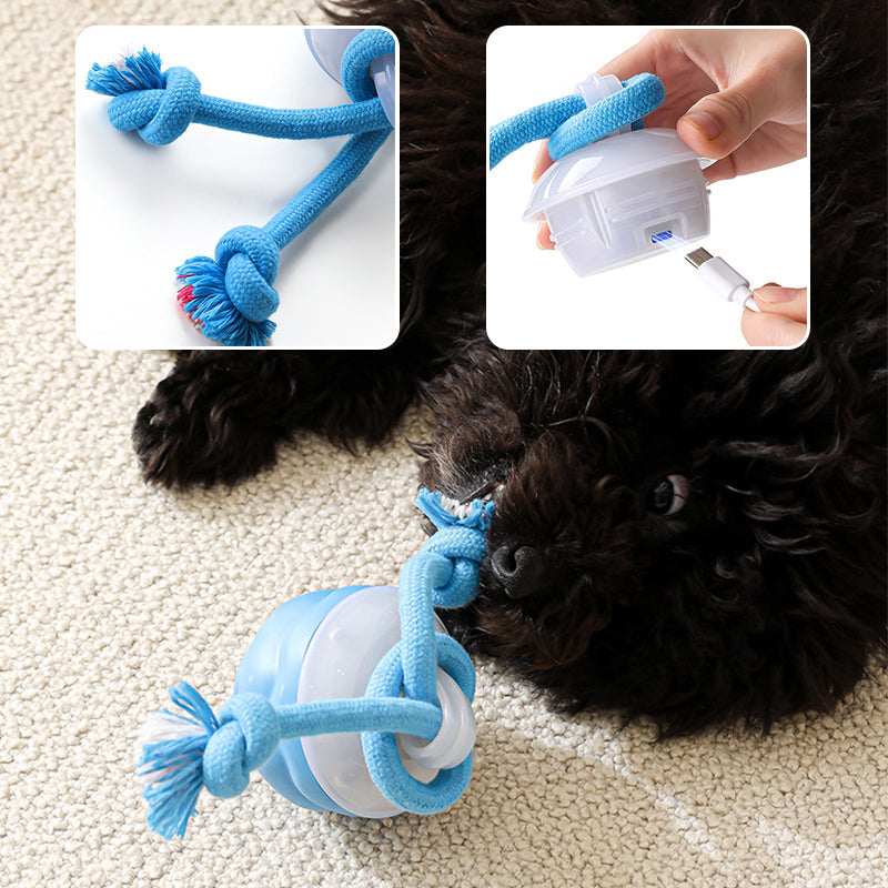 Sound-Activated LED Electronic Toy for Dogs