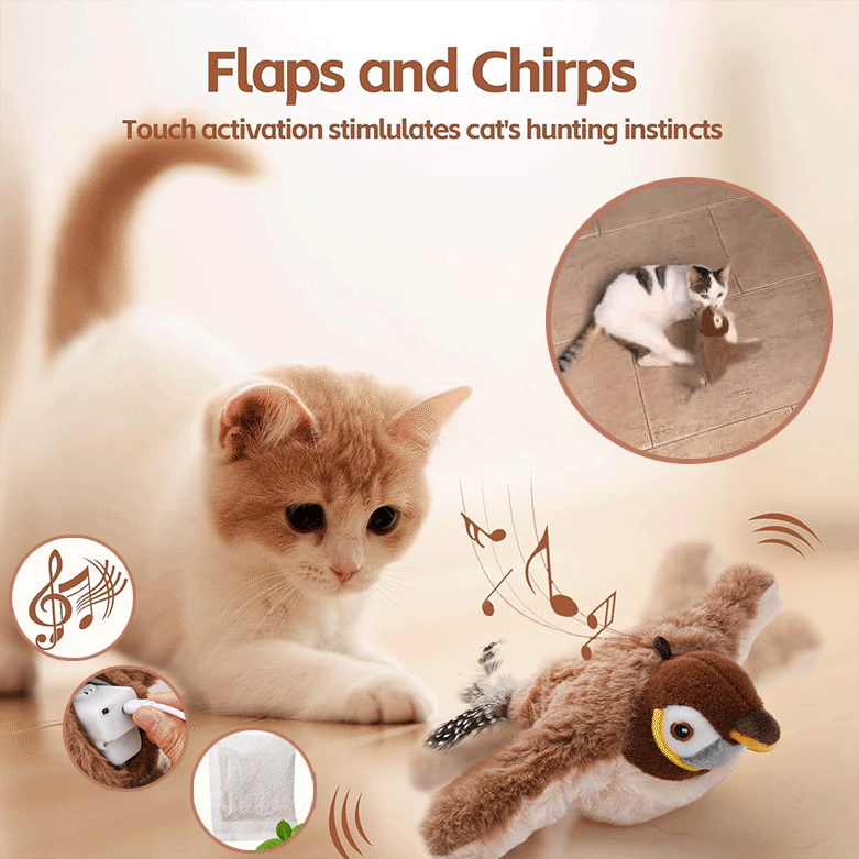ThrillWing™ — Unleash Your Cat’s Wild Hunter Instincts for Hours of Heart-Pounding Fun