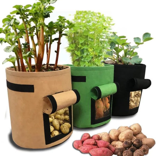 Grow Bag | Breathable Nonwoven Fabric | Velcro-Closure Harvest Flap | HarvestBag