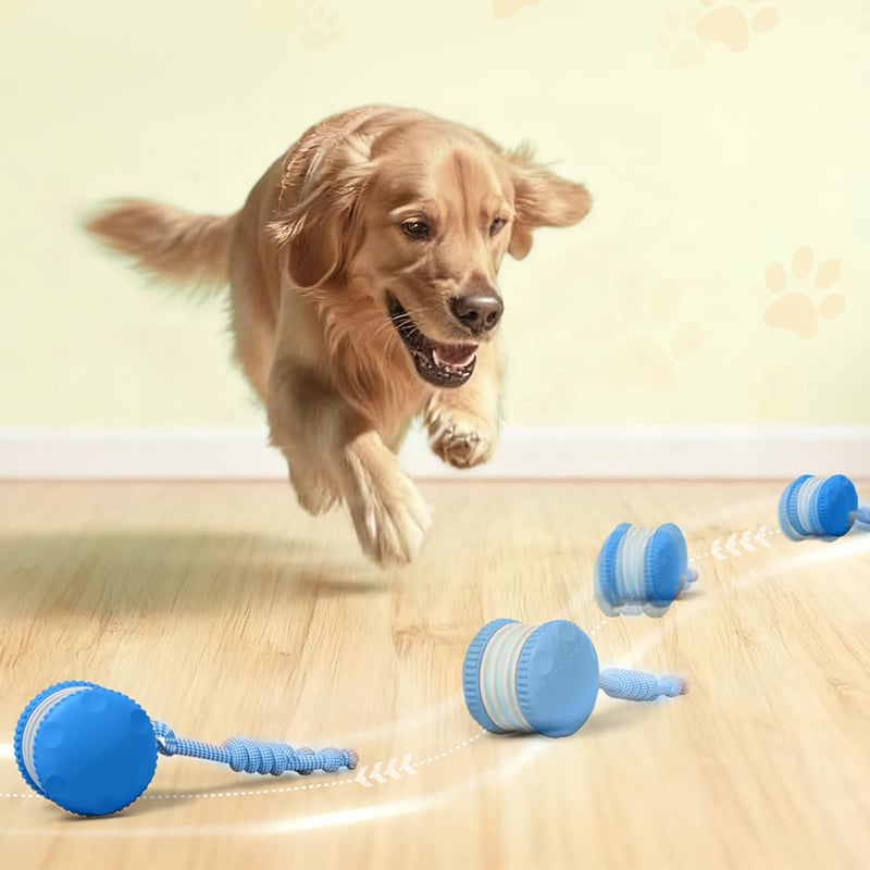 Motion-Activated Dog Toy with Dual Speed Settings