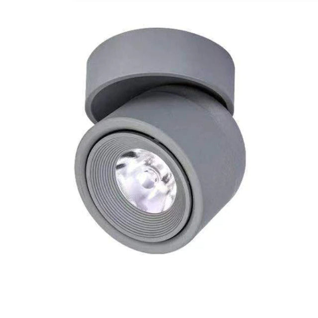 Dimmable LED Spotlight in Aluminum with 340° Swivel