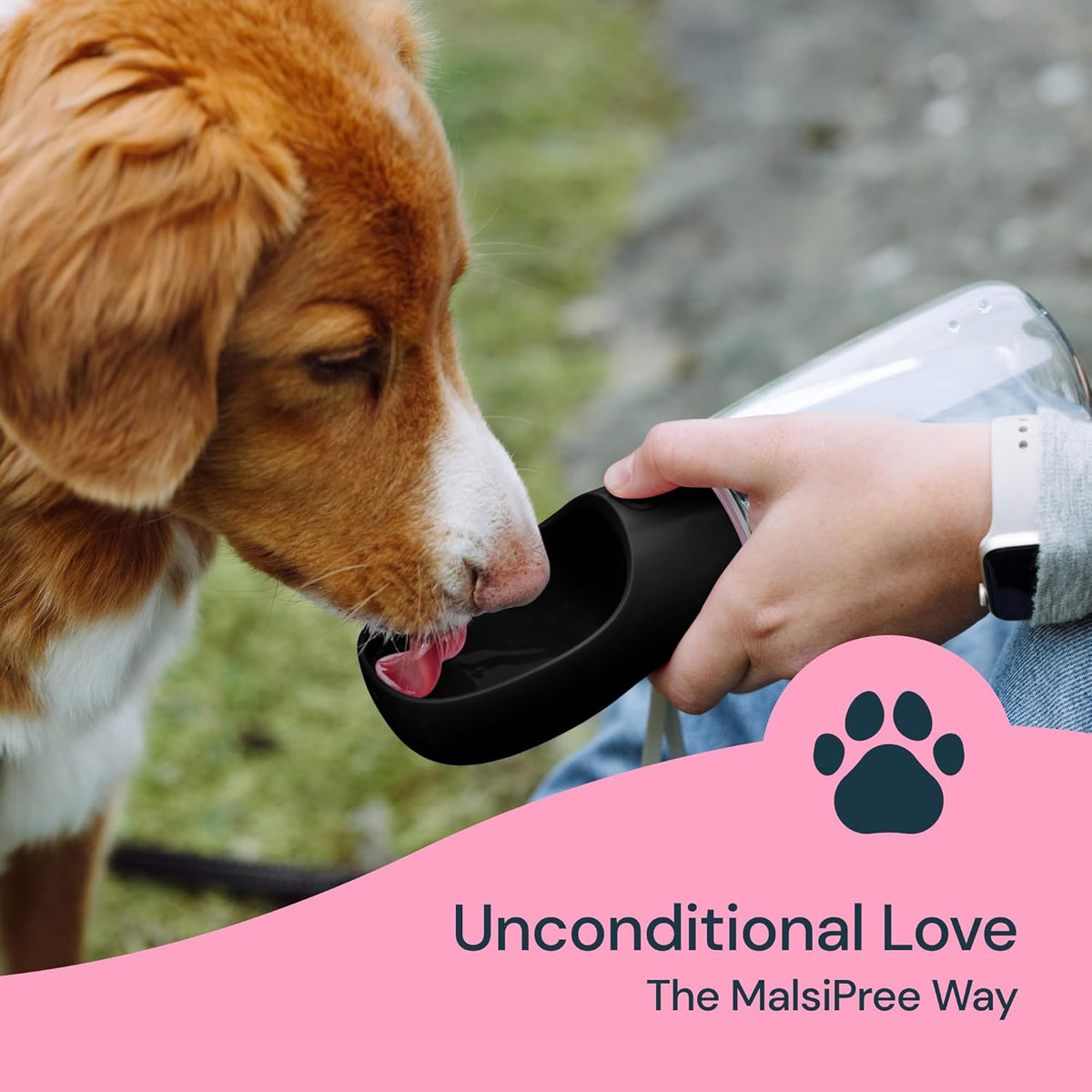 19oz Travel Dog Water Bottle with Leak-Proof Bowl