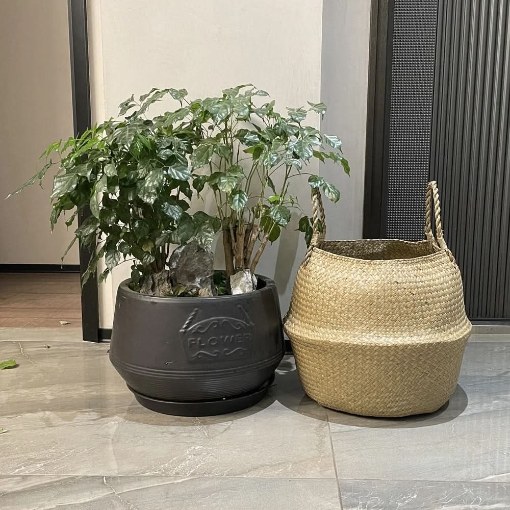 Seagrass Storage Basket – Woven Design for Organizing