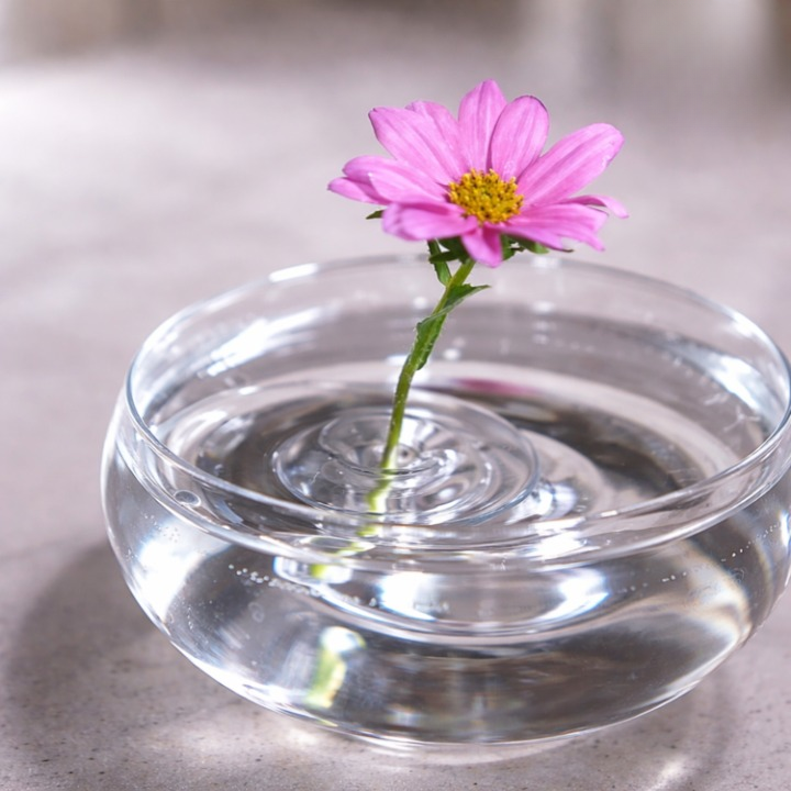 Clear Floral Floatation Support – Ideal Stem Display