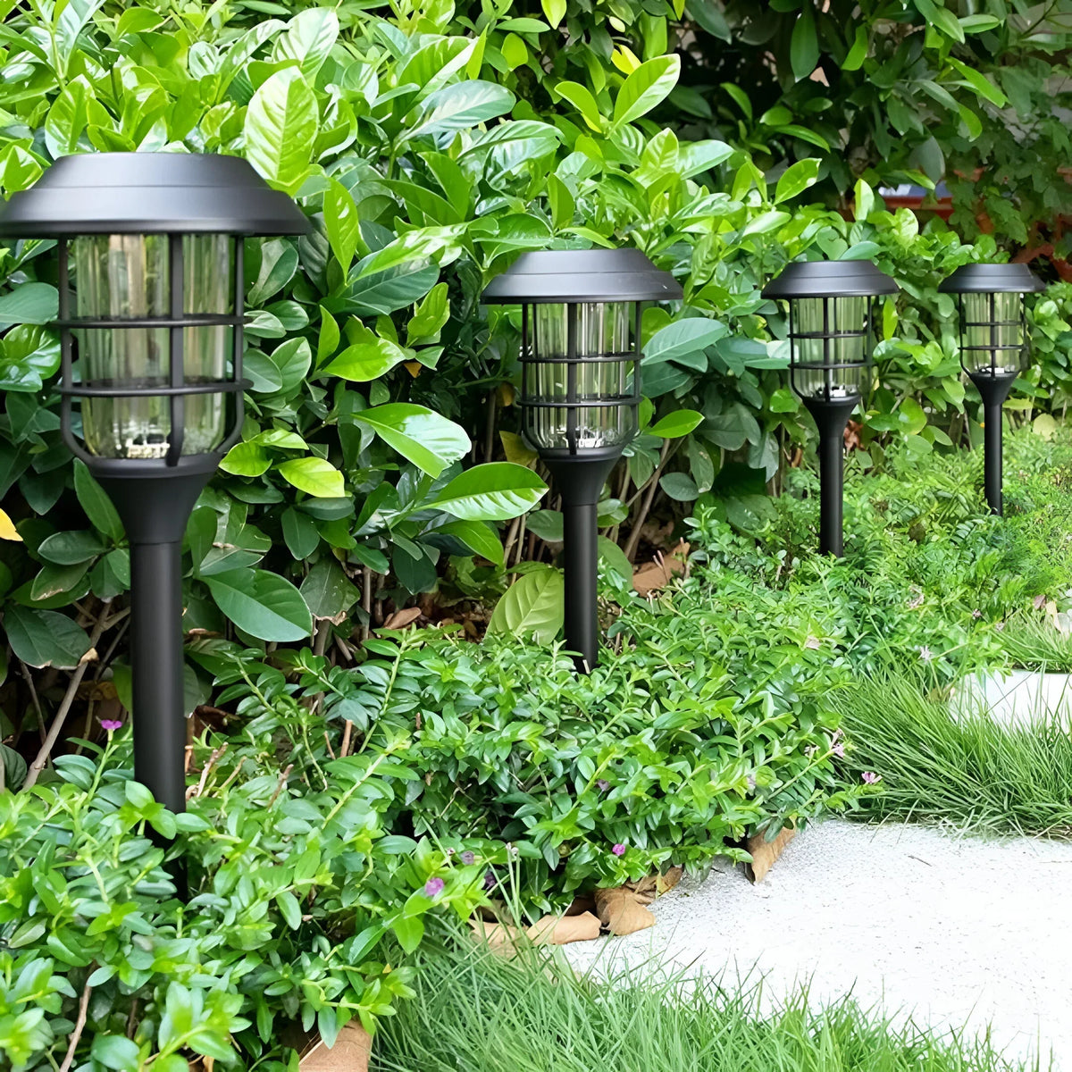 Outdoor Garden Stake Set - 6 Solar LED Pathway Lights, Waterproof