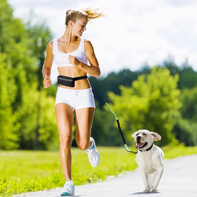 Bungee Dog Leash for Hands-Free Use – Reflective Waist Strap for Running, Hiking, and Walking