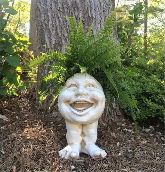 Drainage Face Planter Crafted from Synthetic Resin
