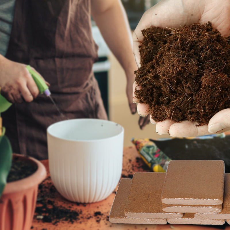 EverGrow Thrive™ — Ignite Explosive Growth with Lush, Breathable Soil That Nourishes Every Root