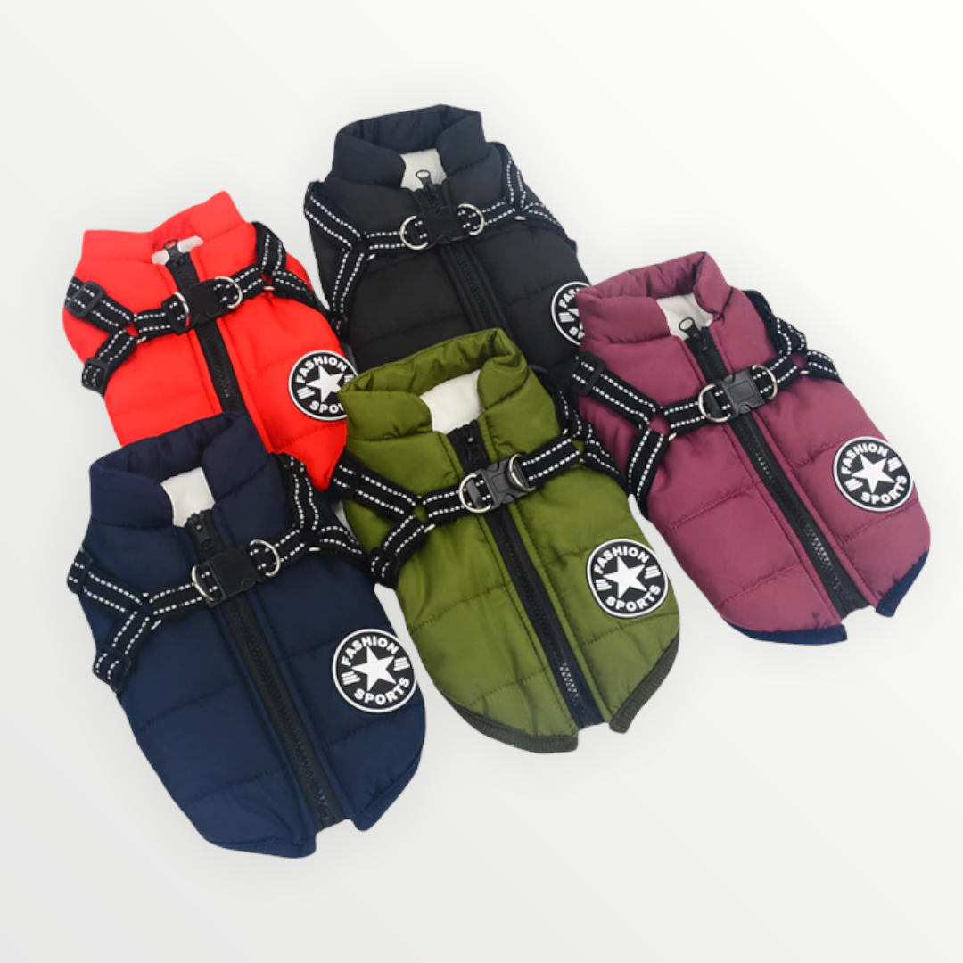 ThunderStride™ — Wrap Your Dog in Instant Warmth and Effortless Control Every Walk