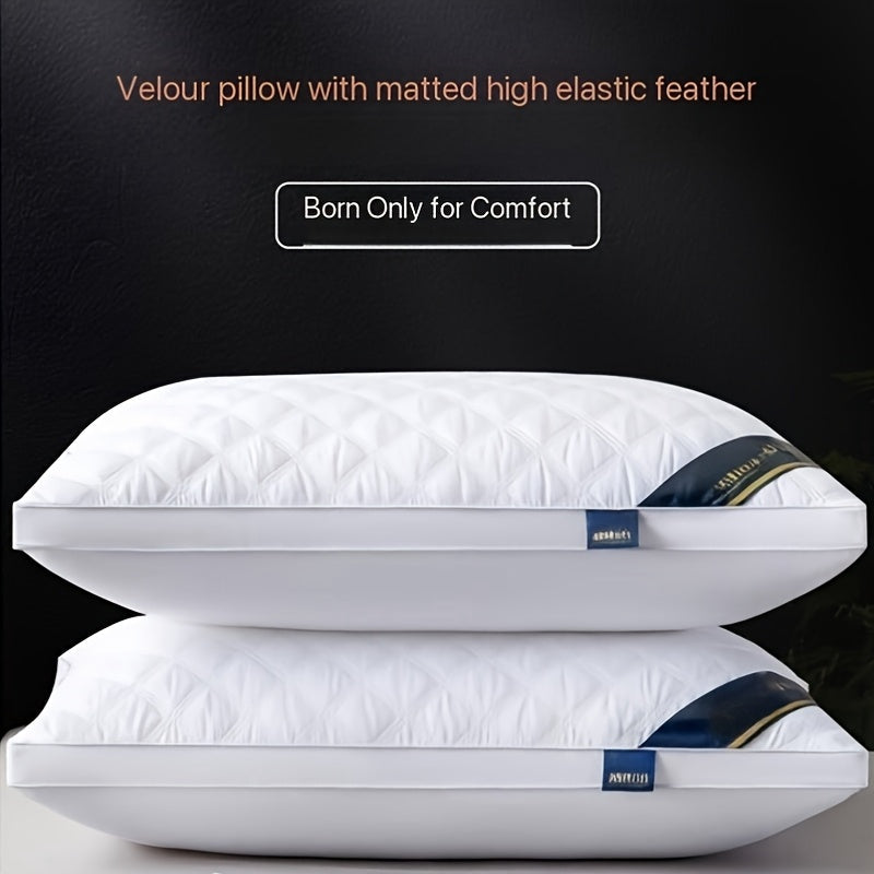 Hypoallergenic 2-Pack Pillow Set – 3D Quilted Design