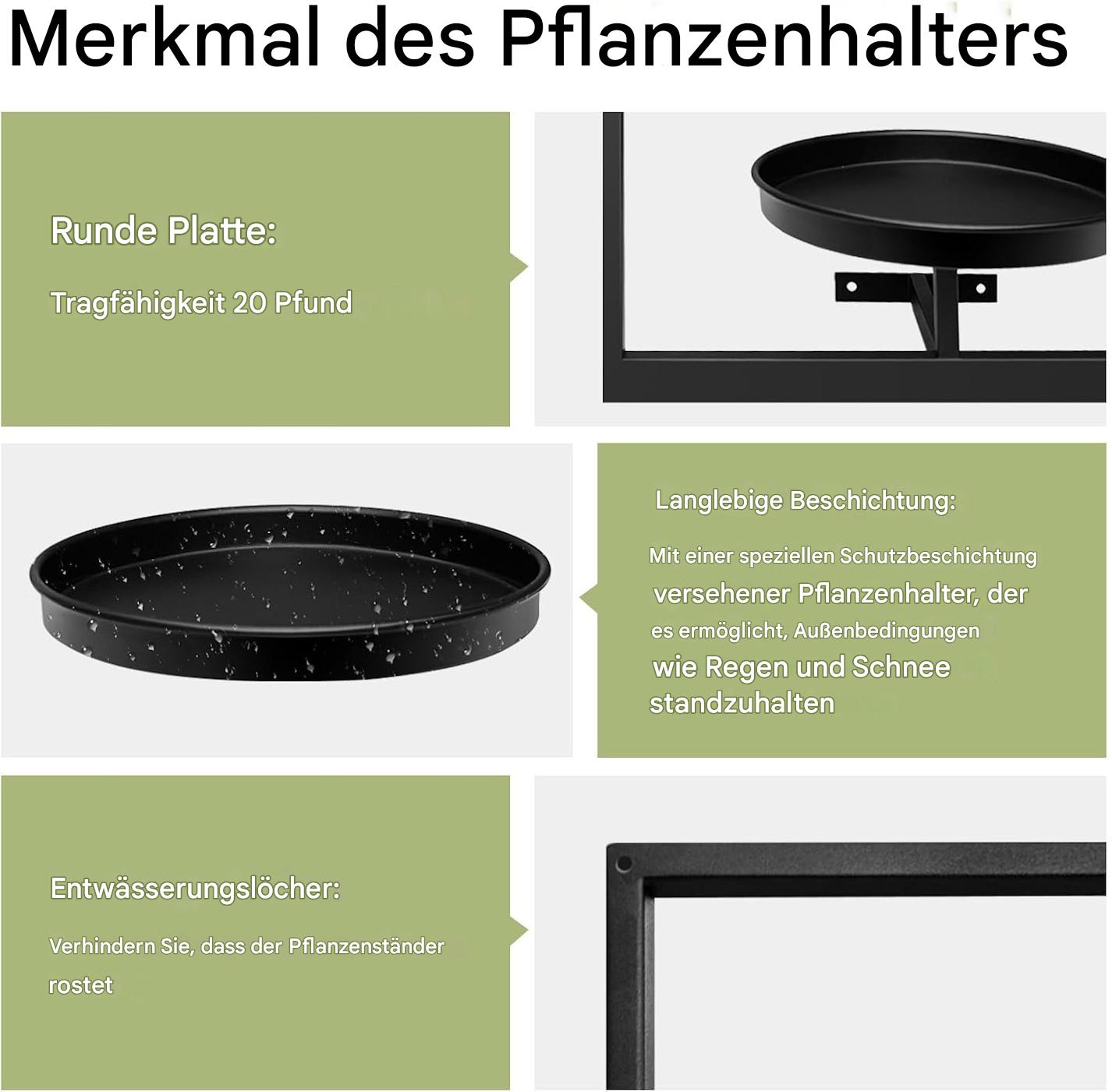 Wall Mounted Plant Holder | Metal Frame | Space-Saving | Plantify