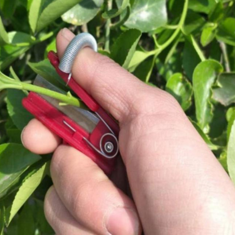 Fruits and Vegetables Garden Pruners – Accurate Harvesting Without Injury