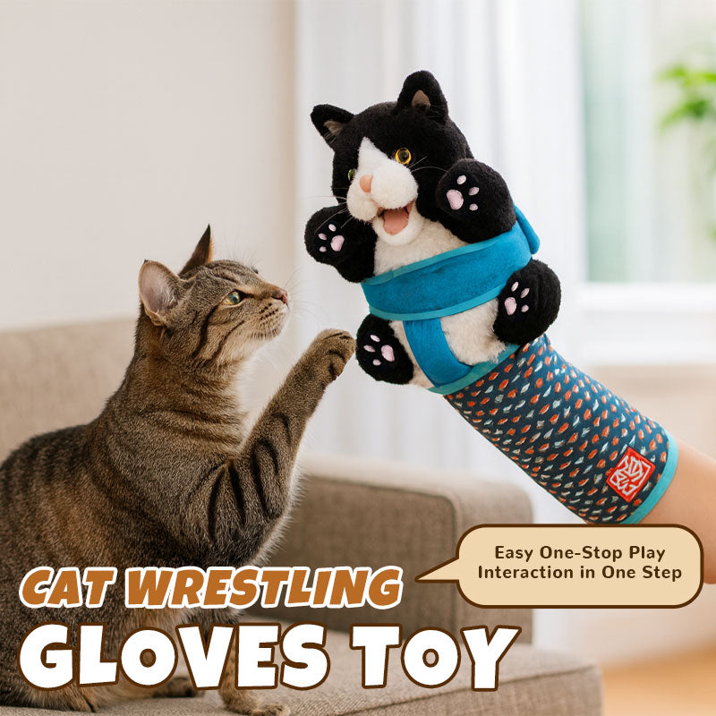 Plush Kitten Play Glove for Cats – Scratch-Resistant Design