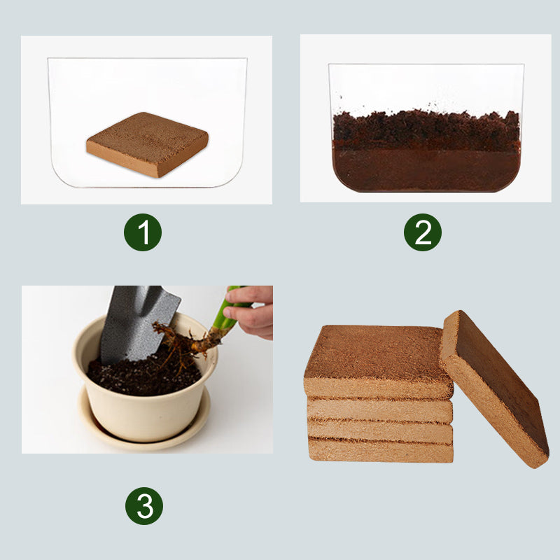 EverGrow Thrive™ — Ignite Explosive Growth with Lush, Breathable Soil That Nourishes Every Root