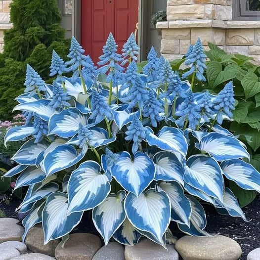 ShadeBloom™ — Transform Shadowy Spots into Lush, Colorful Garden Sanctuaries