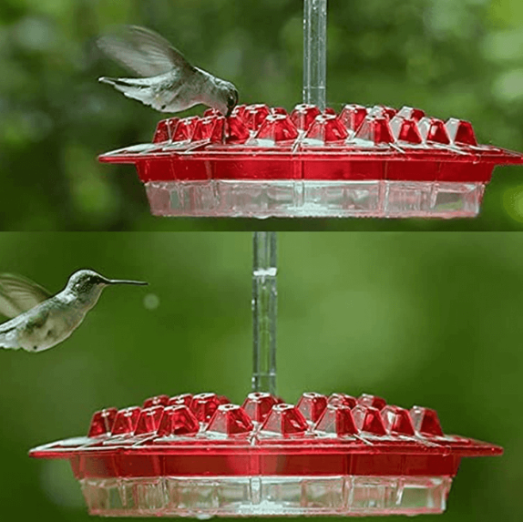 30-Ports Ant-Resistant Hummingbird Feeder for Nectar Storage