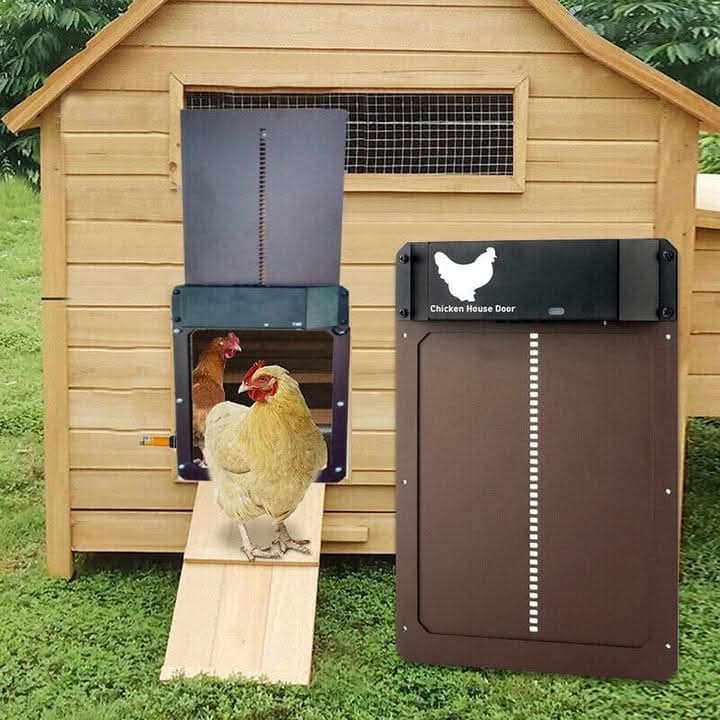 Smart Coop Guardian Door with Light Detection and Weather Shield