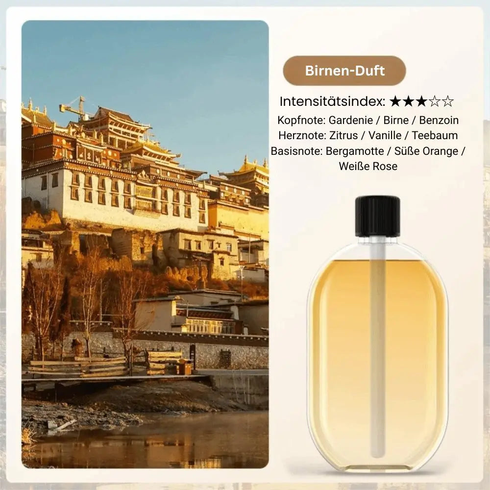 Electric Aroma Diffuser for Tranquil Atmosphere and Positive Vibes