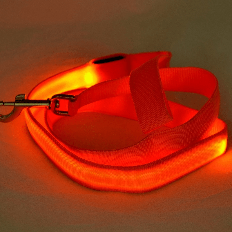 Lighted Dog Leash with USB Recharge & Safety Reflectors