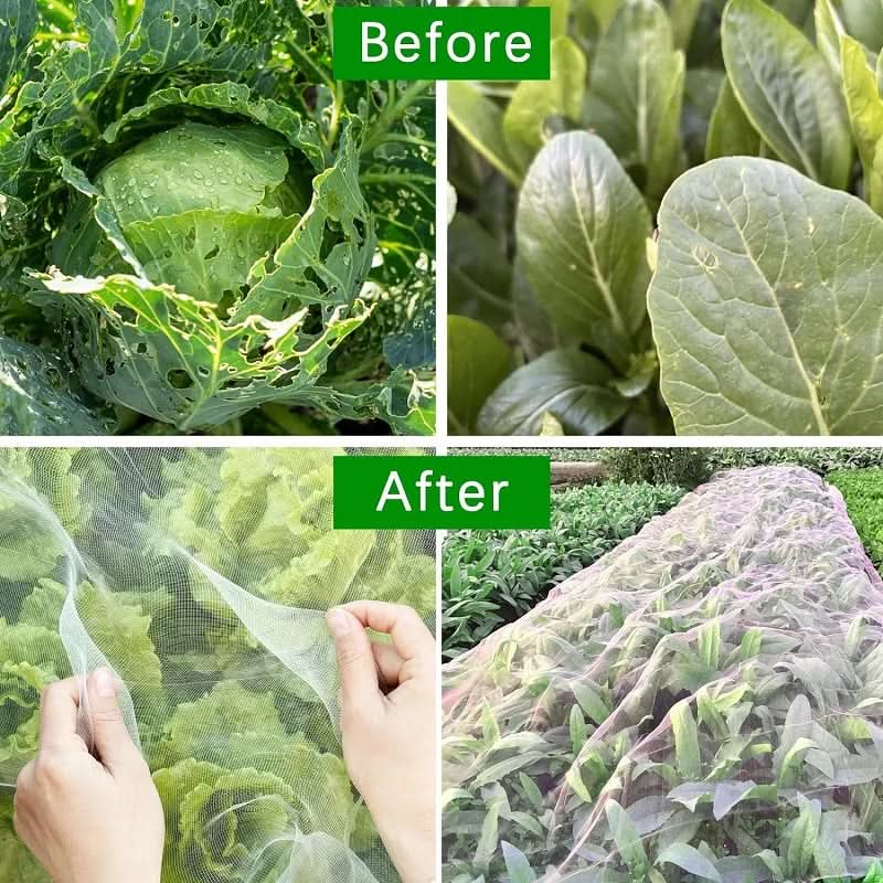 Garden Netting for Plant Protection – Essential Care for Your Garden