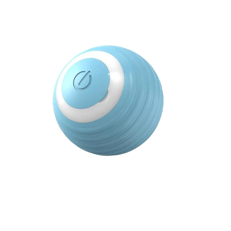 Rechargeable Playful Paws Ball for Dogs