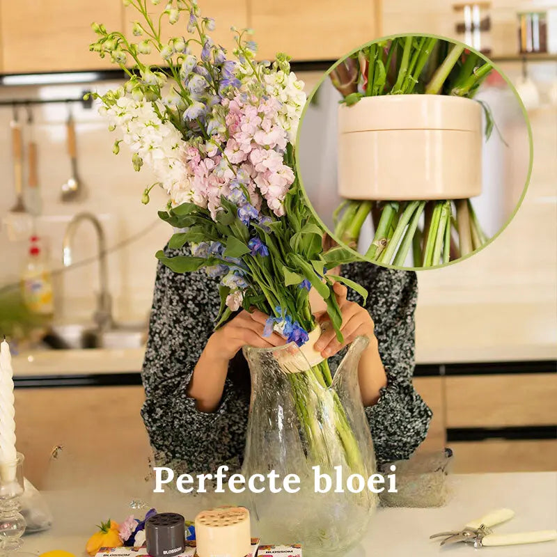 Set of 2 Stem Grids for Vase Flower Arrangement