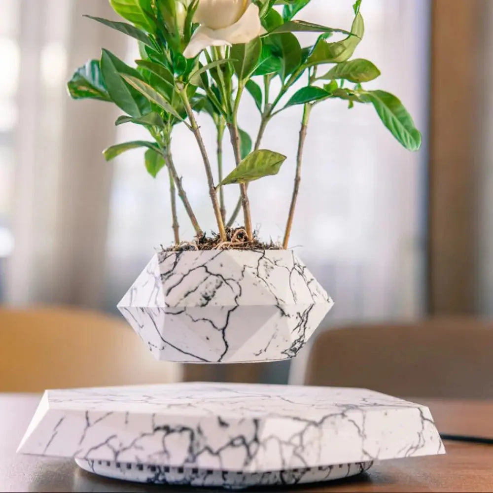 360° Rotating Flower Pot | Sculptural Floating Design