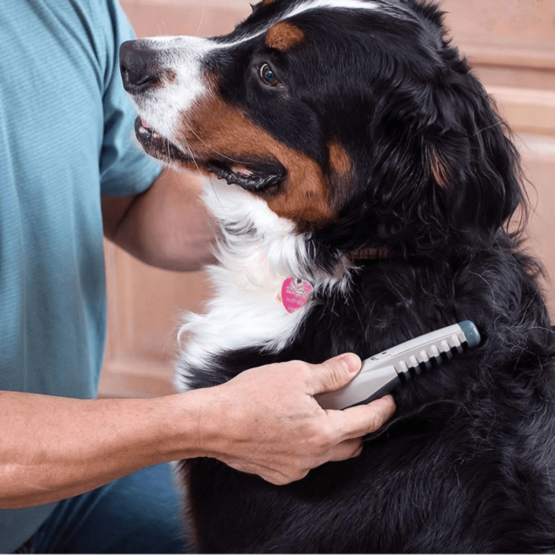 Soothing Grooming Tool for All Fur Types