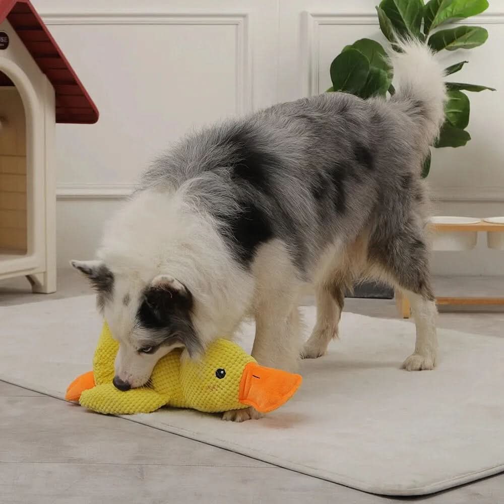 Interactive Plush Dog Toy with Quacking Noise