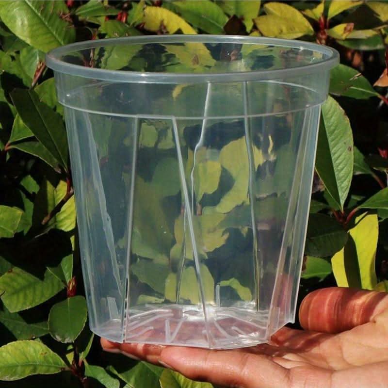 Transparent Planters for Root Observation and Healthy Plant Growth