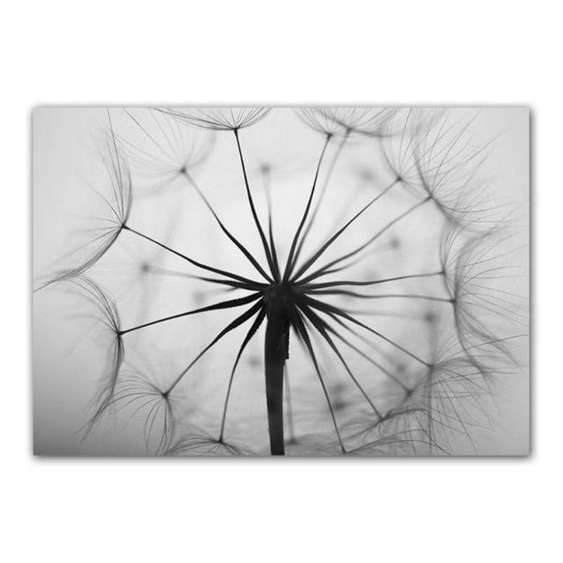 Dandelion Serenity Canvas Art – Unframed Cotton Print