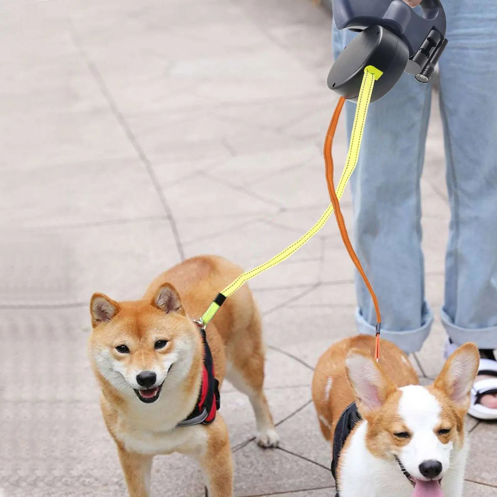 LED Flashlight Dog Leash – Dual Retractable Design for Walking Two Dogs