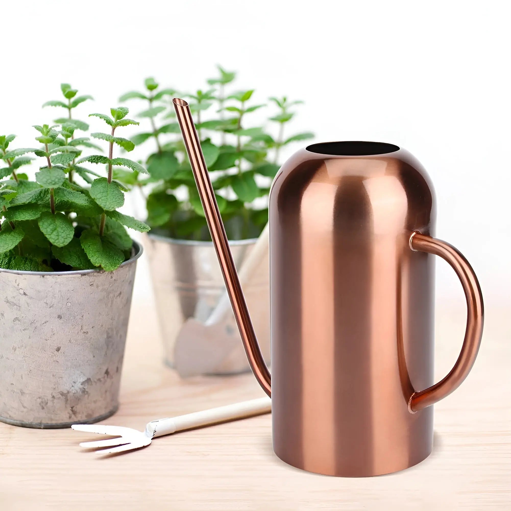 Watering Can in Stainless Steel – Long Spout for Accurate Watering