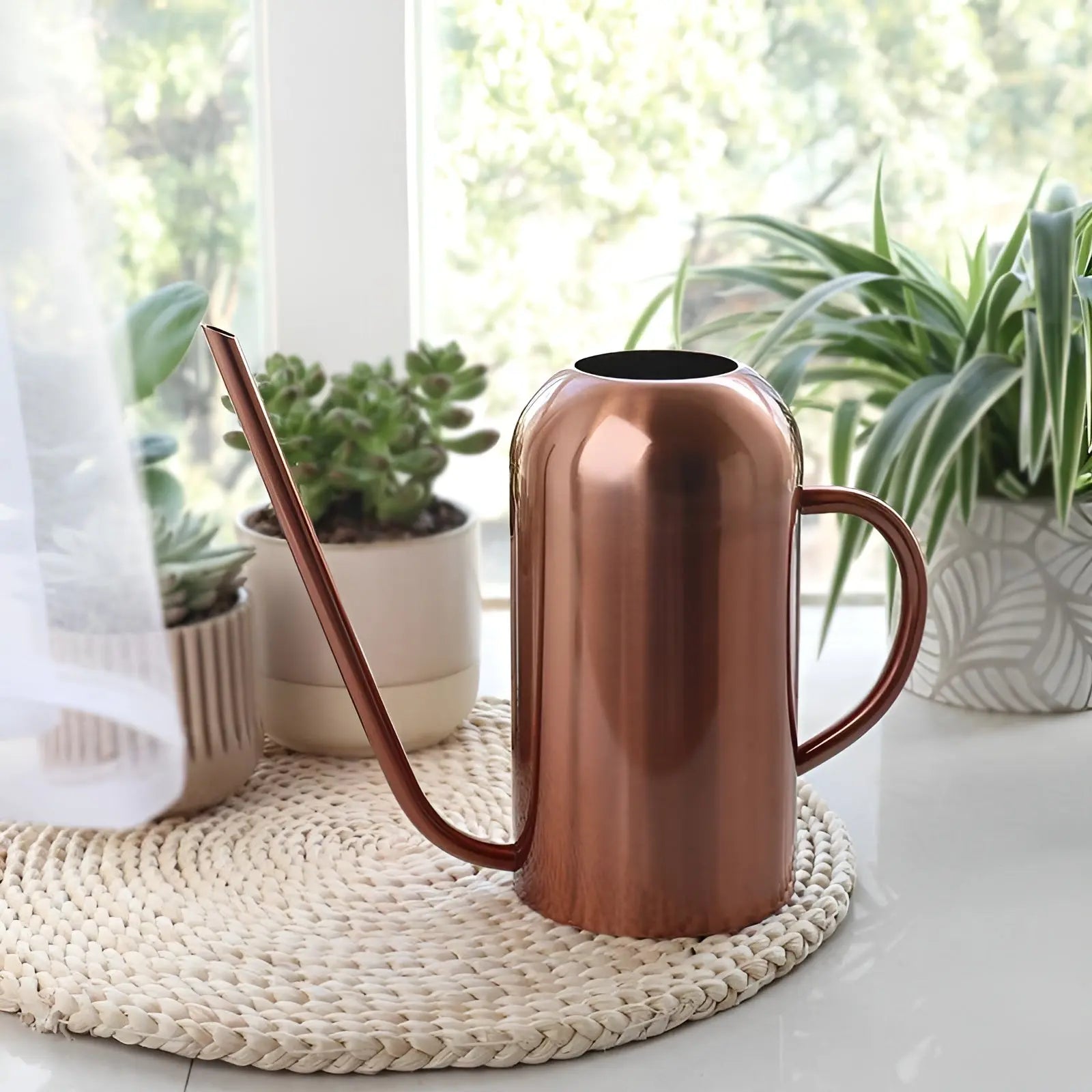 Watering Can in Stainless Steel – Long Spout for Accurate Watering