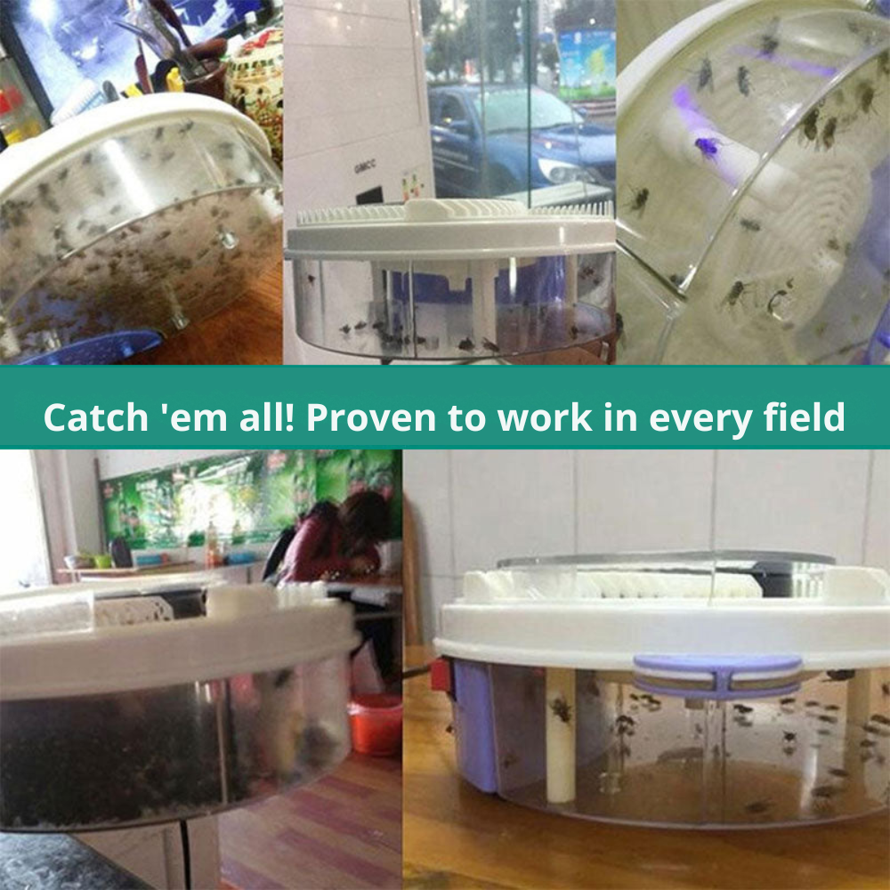 Silent Insect Trap | Chemical-Free Fly Catcher with Bait